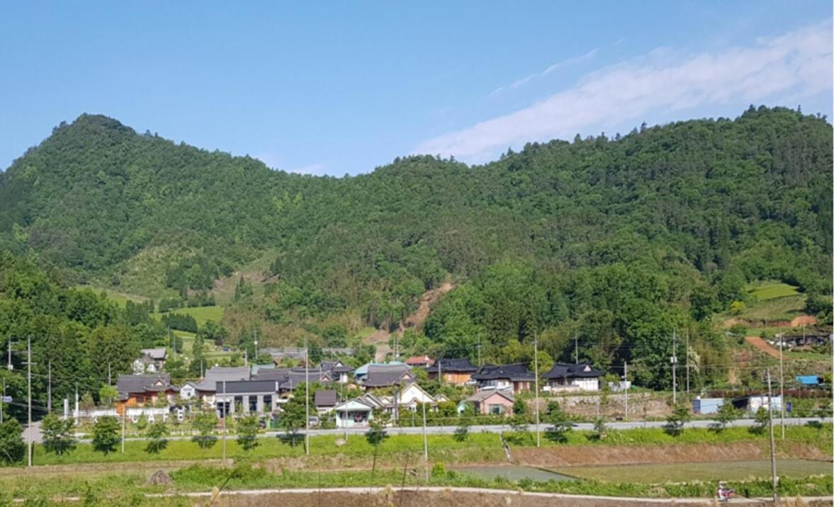 Boseong Greenery Hanok Pension 外观 照片