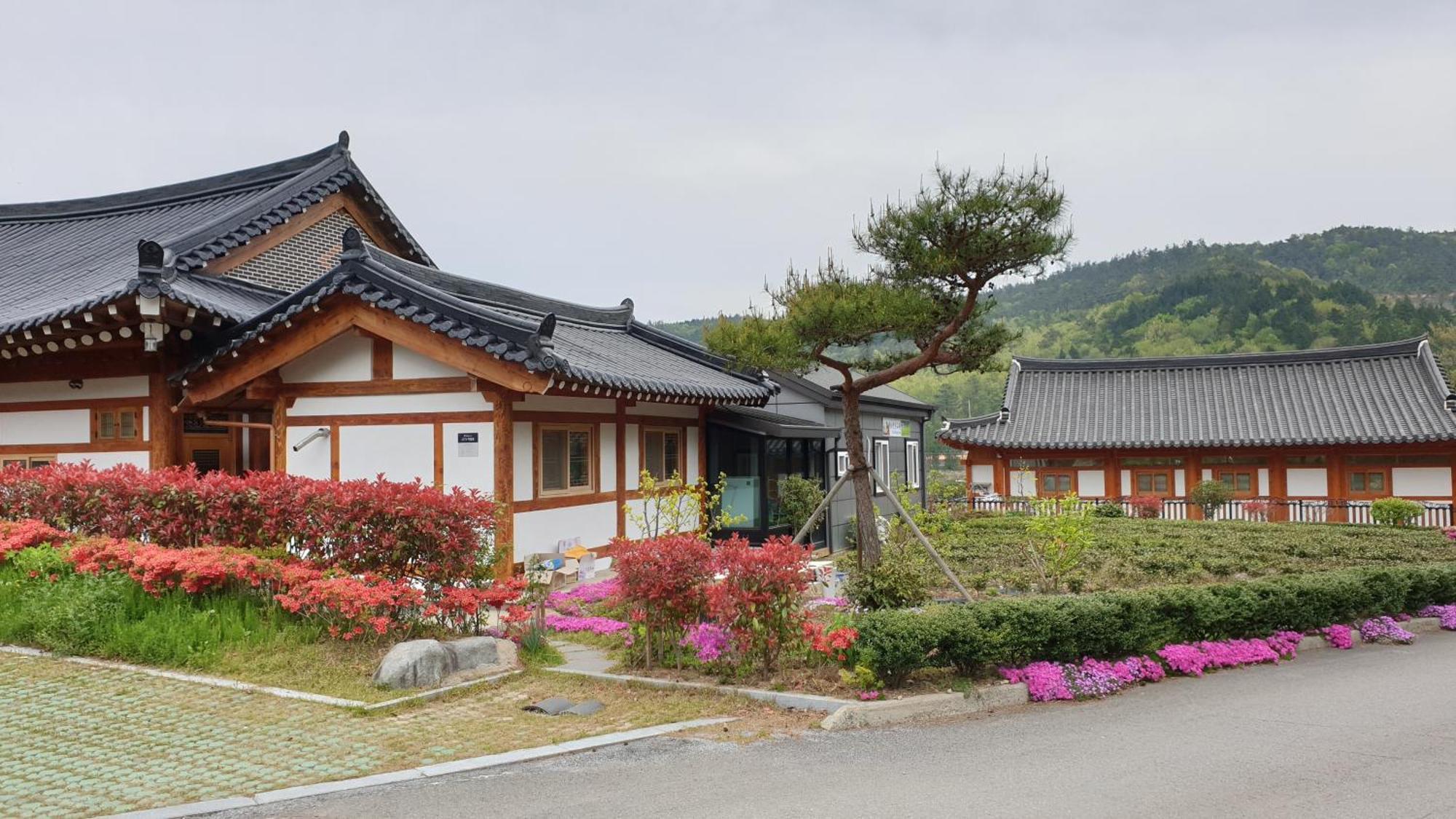 Boseong Greenery Hanok Pension 外观 照片